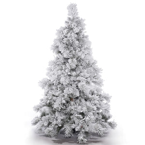 Xmas Tree White Pine 2.1m